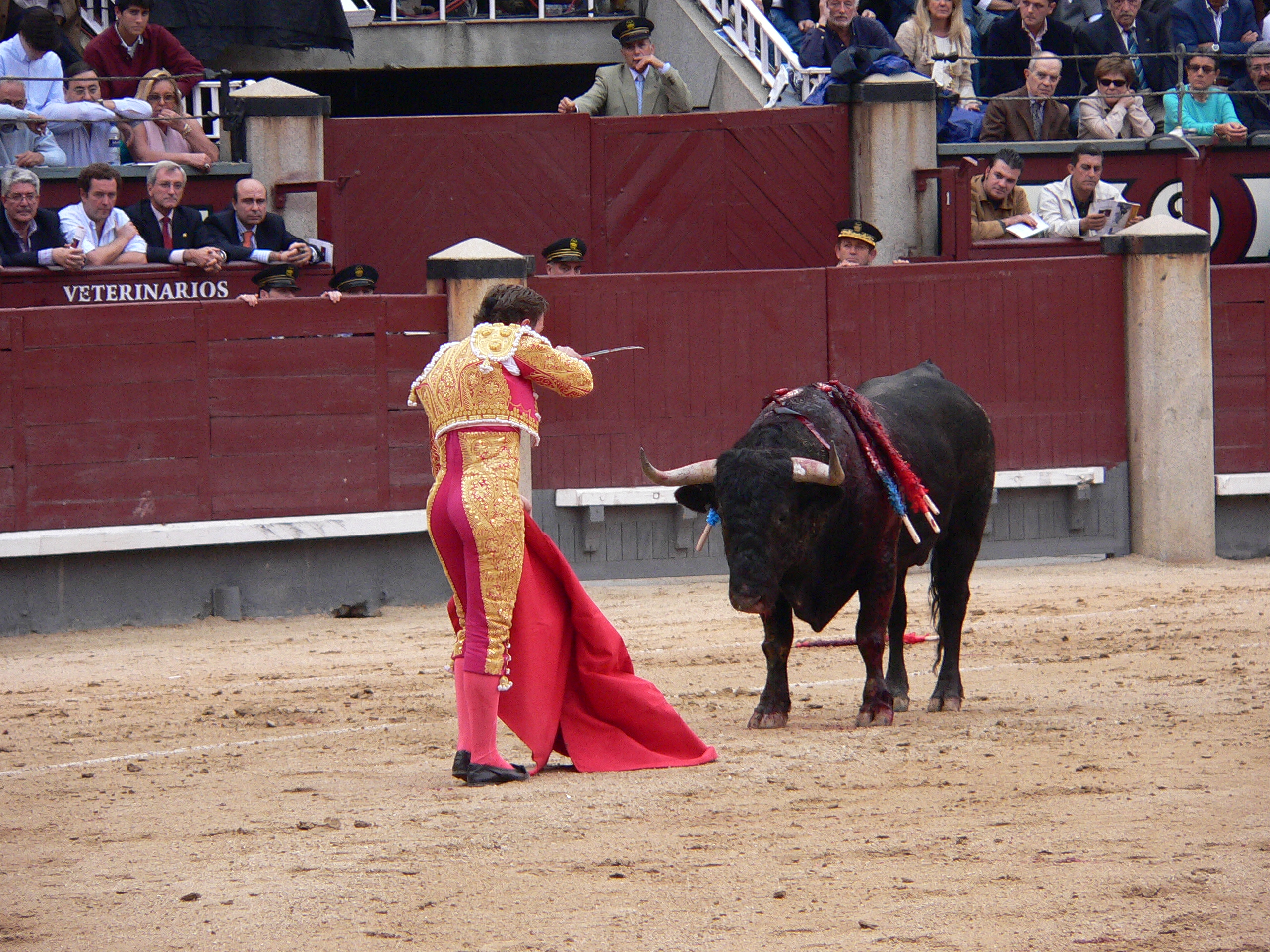 Bullfighting