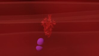 COVID-19 vaccine