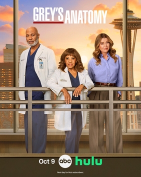 Grey's Anatomy (Season 8)