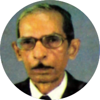 Nami Ansari