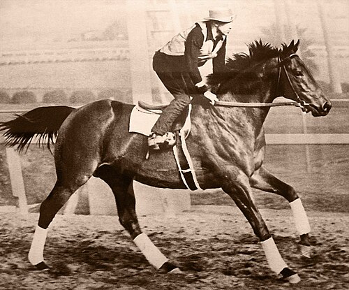 Seabiscuit (film)
