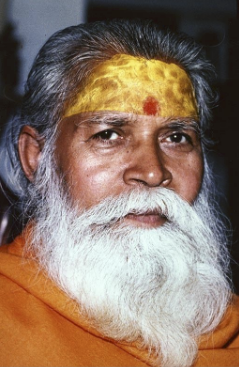 Shantananda Saraswati