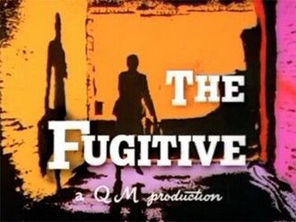 The Fugitive (TV series)