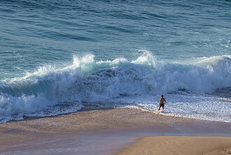 Wind wave