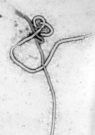 Zoonosis